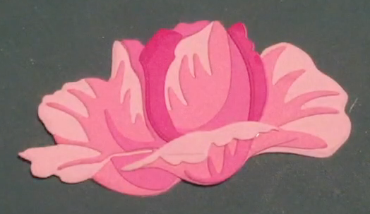 Screen Shot 2020-05-26 at 2.29.36 PM